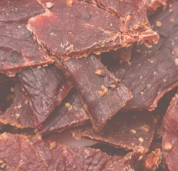 Beef Jerky Carnivore Diet Diaries